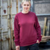 Pro Sweatshirt